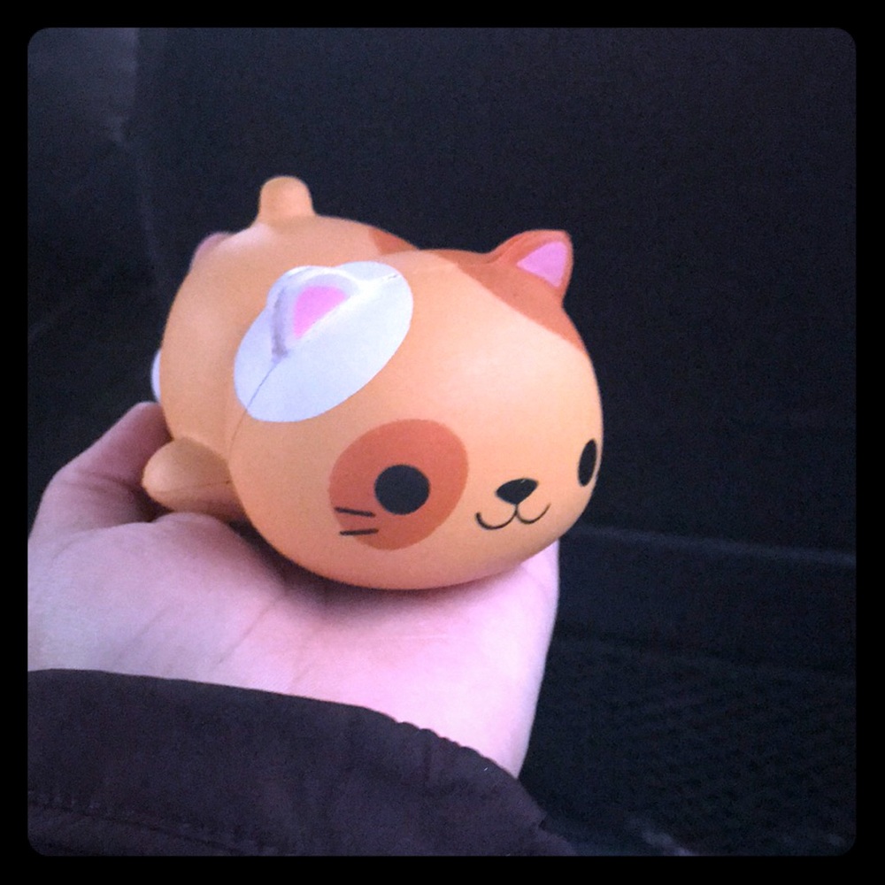 Cute cat squishy